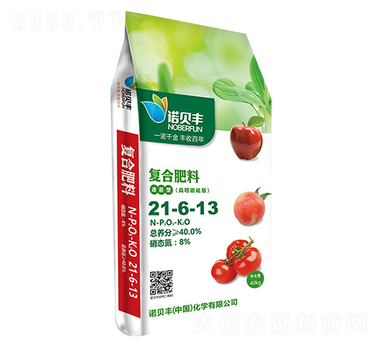 �����������(f��)�Ϸ���21-6-13-�Zؐ�S