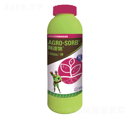 ���ٲ��-�S������