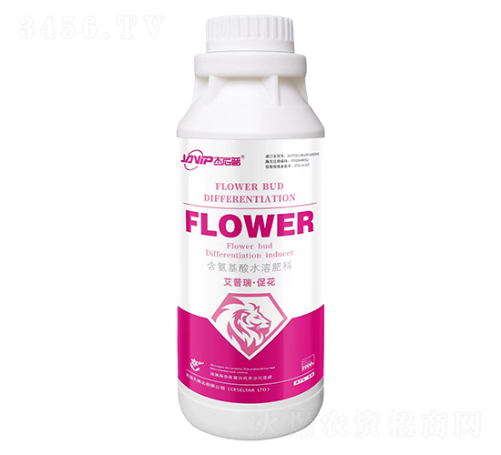 �����𡤴ٻ�-������