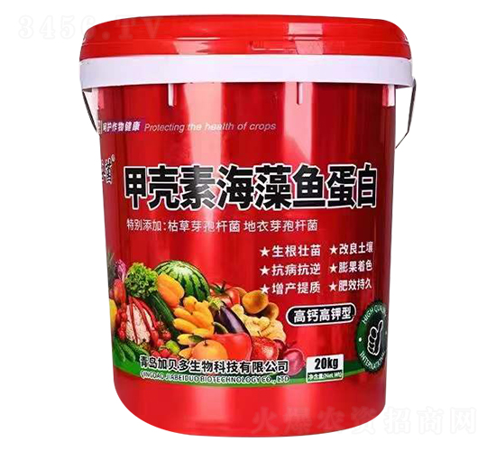 �ך��غ����~����-��ؐ������