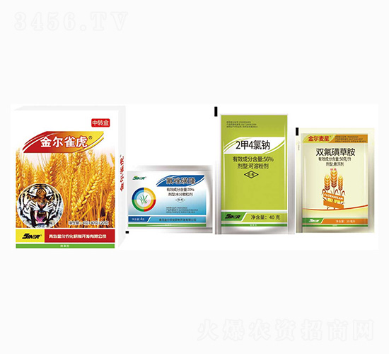 С�����݄�-��ȸ��-���r(n��ng)��