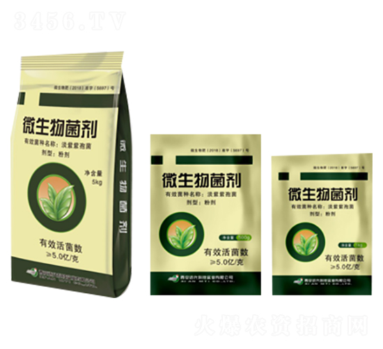 ΢�������-�����Ƽ�