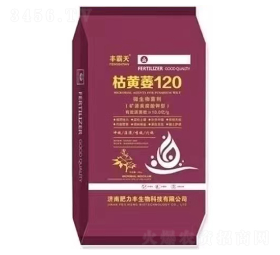 ���Sή120-�S����-������