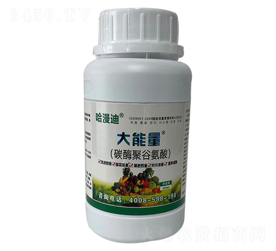 ̼ø�۹Ȱ���-������-������-�ο�ֲ��