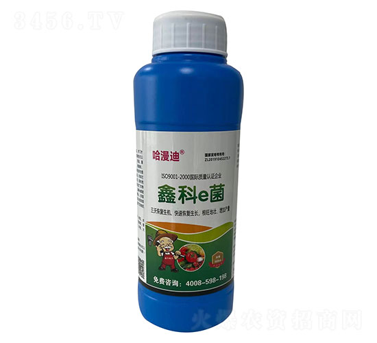 �ο�e��-�ο�ֲ��