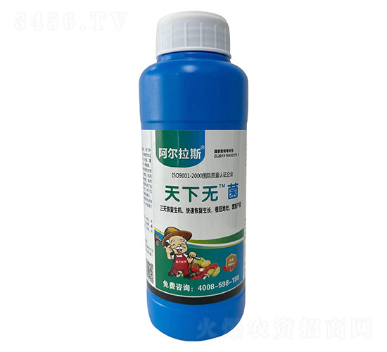 ���o(w��)��-�ο�ֲ��