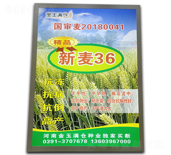 ����36-С���N��-����M�}(c��ng)