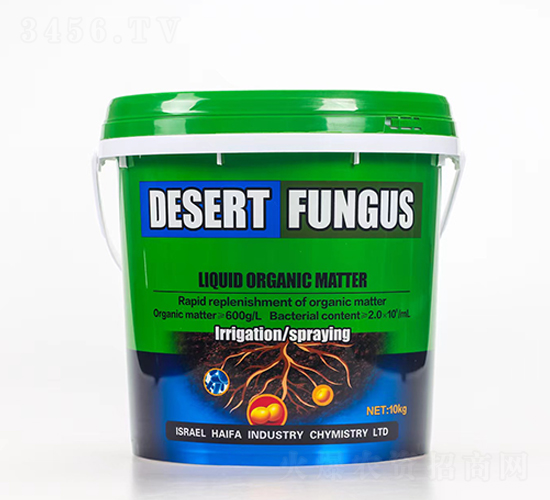 �_ʩ��-�����������S