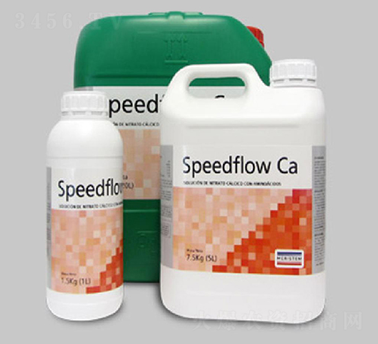 SPEEDFLOW Ca ���z�}-�~��˹��