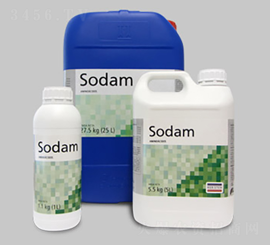 SODAM�������ᣩ �����{(di��o)��-�~��˹��