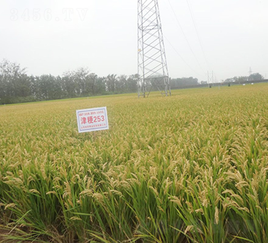 ��253-ˮ���N��-���r(n��ng)�N�I(y��)