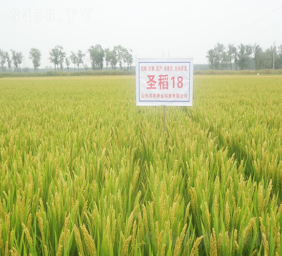 ʥ��18-ˮ���N��-��(r��n)�r(n��ng)�N�I(y��)