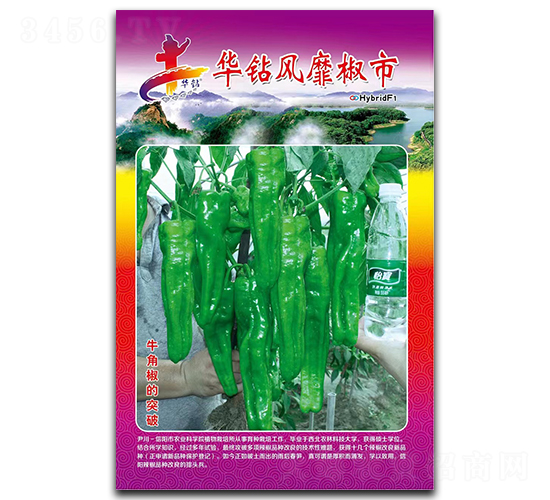 �A�@�L(f��ng)�ҽ���-�����N��-�Aһ�N�I(y��)