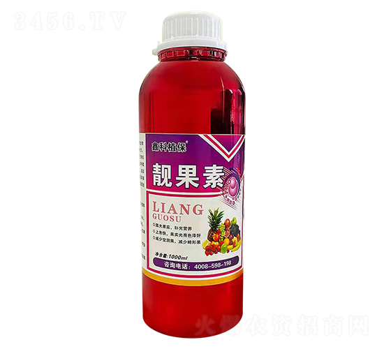 �������n����-�ο�ֲ��