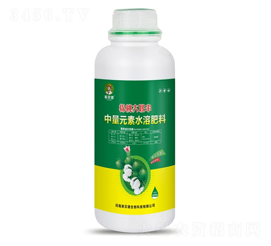 ���Ҵ�(li��n)��-Ӣؐ��