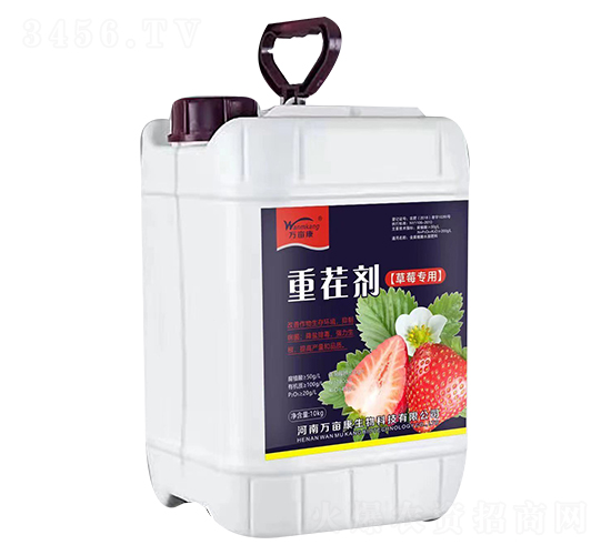 ��ݮ����-�ز焩-�f����