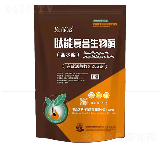 ʩ���_(d��)���܏�(f��)������ø-���o(h��)