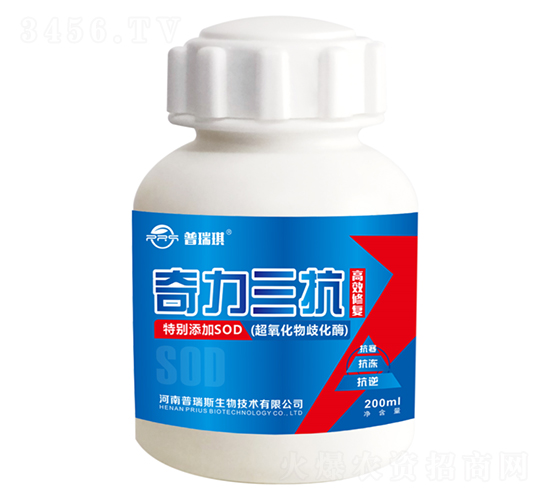 ��������-������