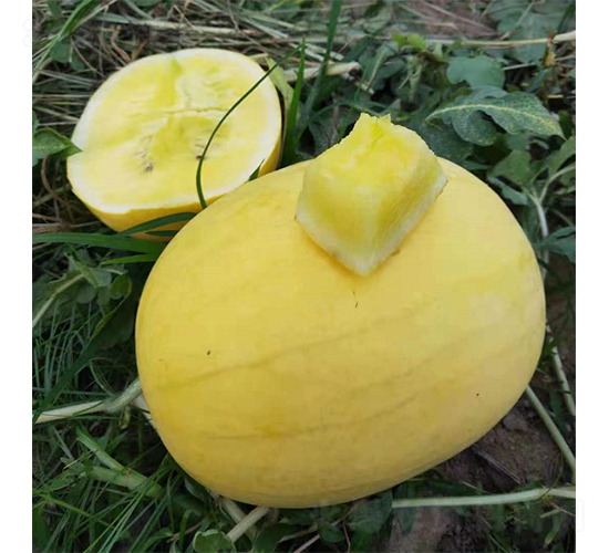 �YƷ���Ͻ��-���ϷN��-��(y��u)�Π�����