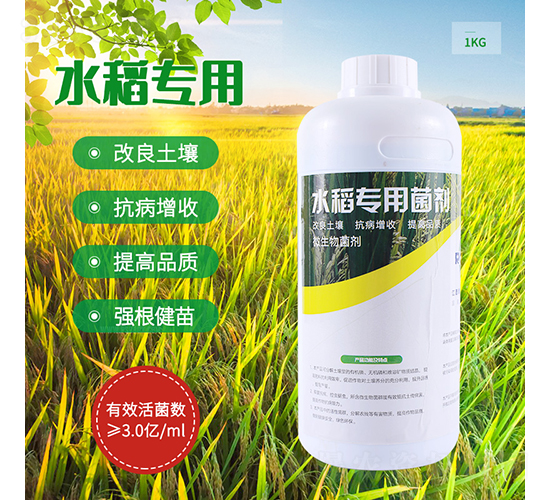 ˮ�����þ���-����