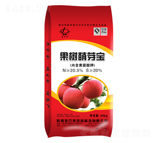 ������ѿ��-��ʯ�R