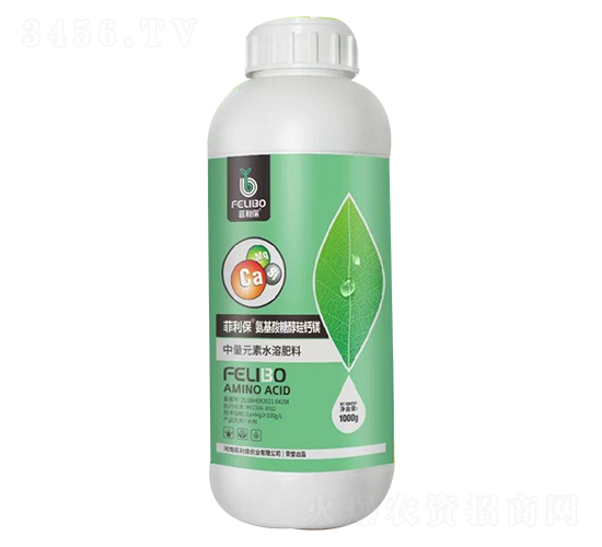 �������Ǵ����}�V-������