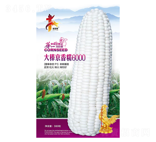 �������Ŵ6000-���׷N��-�Aһ�N�I(y��)