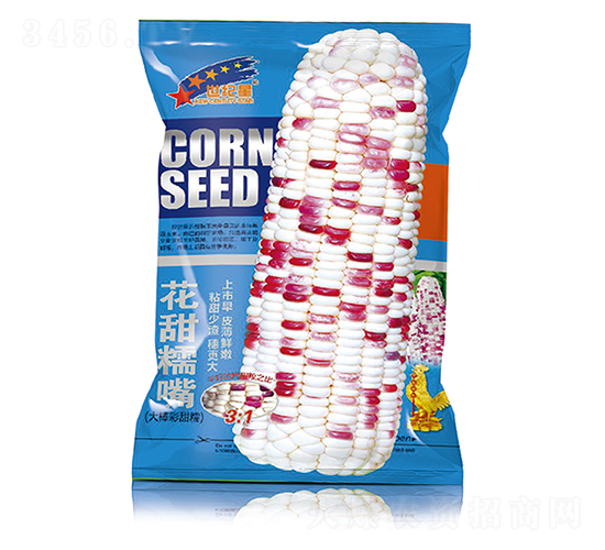 ����Ŵ��-���׷N��-�Aһ�N�I(y��)