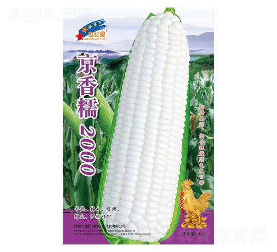 ����Ŵ2000-���׷N��-�Aһ�N�I(y��)