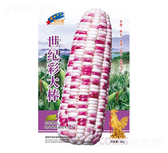 ���o(j��)�ʴ��-���׷N��-�Aһ�N�I(y��)