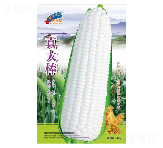 ����-���׷N��-�Aһ�N�I(y��)