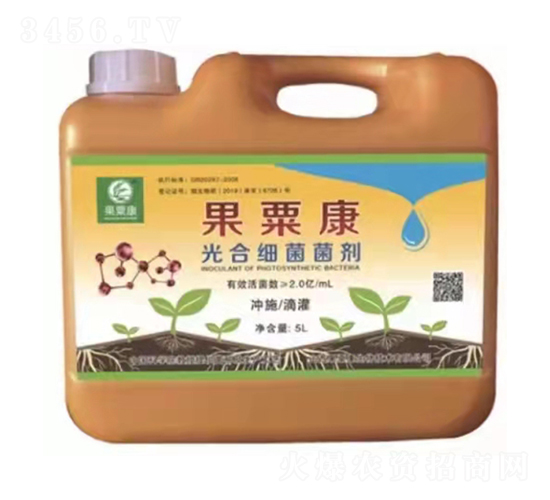 ��ϼ�������-���ڿ�