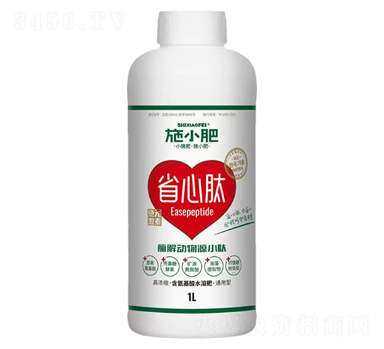 ø�����ԴС��-ʩС��