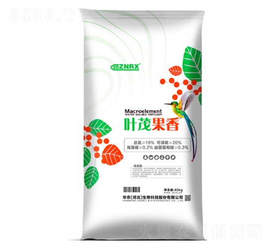 �~ï����-�A�r(n��ng)