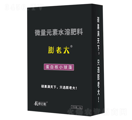 ���ϴ󵰰׺�С����-�|¡�r�I(y��)