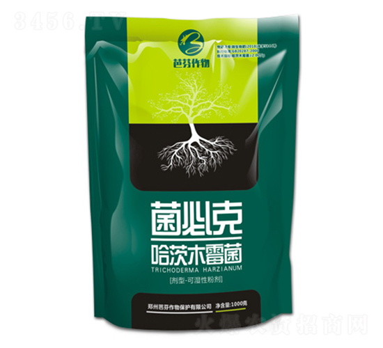 ����ľù��-���ؿ�-�ŷ�����