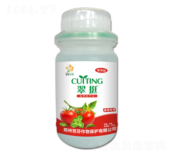 ֲ�ﾫ�A��-��ͦ-�ŷ�����