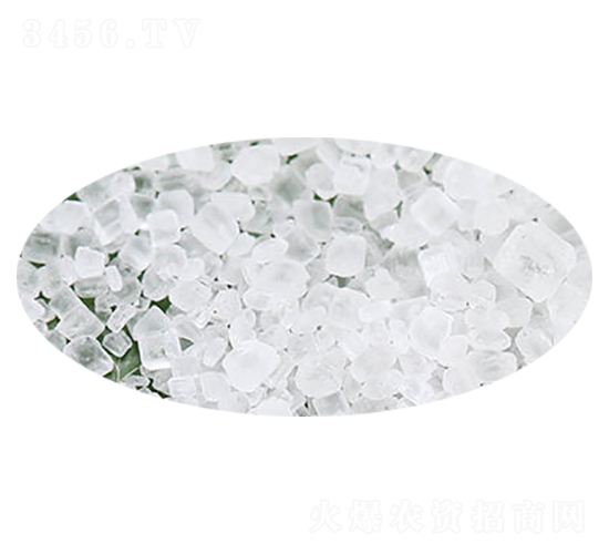 ����(n��i)���������@-��(sh��)�����B(t��i)