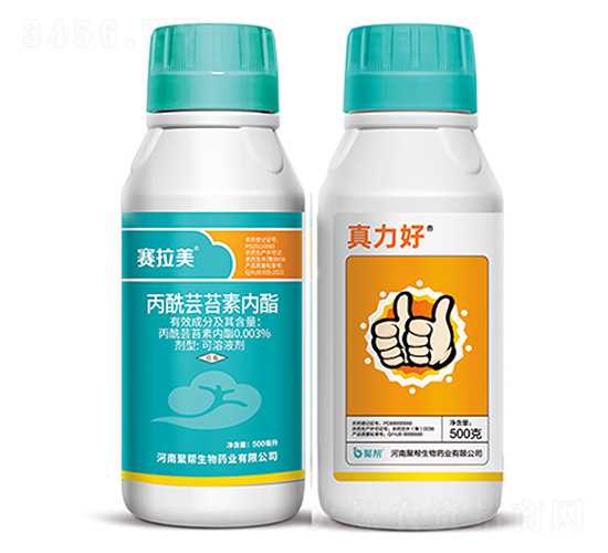 ِ����+������-�ێ�