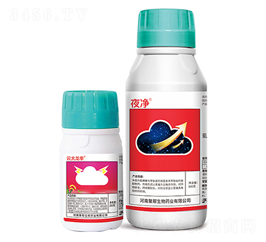 �ƴ���ȭ+ҹ��-�ێ�