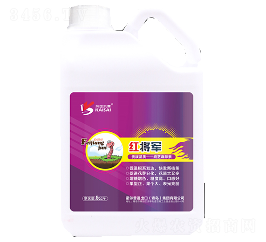 ��֥�����-�t��܊-�Z����