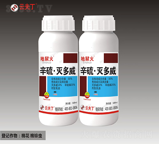 30%���򡤜����-�تz��-�Ʒ�