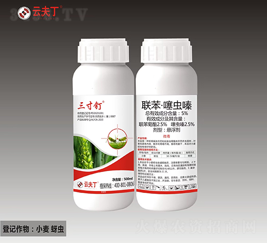 5%(li��n)�������x�-�����-�Ʒ�