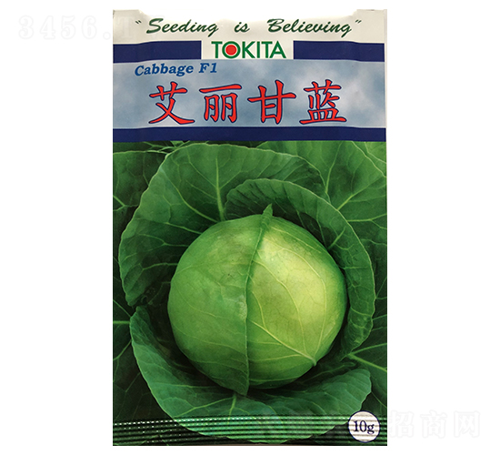 �������{-���{�N��-ɽ��ʢ�N��