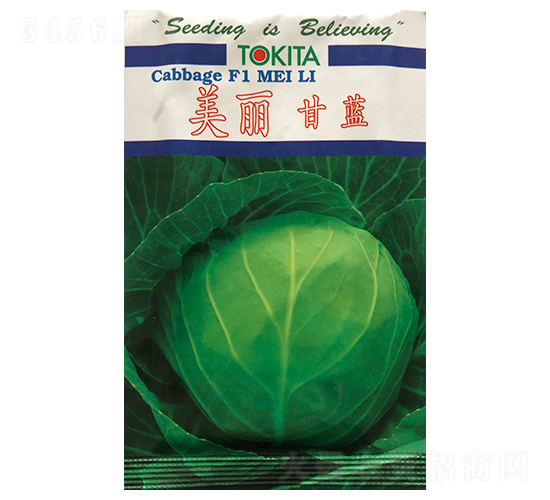 �������{-���{�N��-ɽ��ʢ�N��