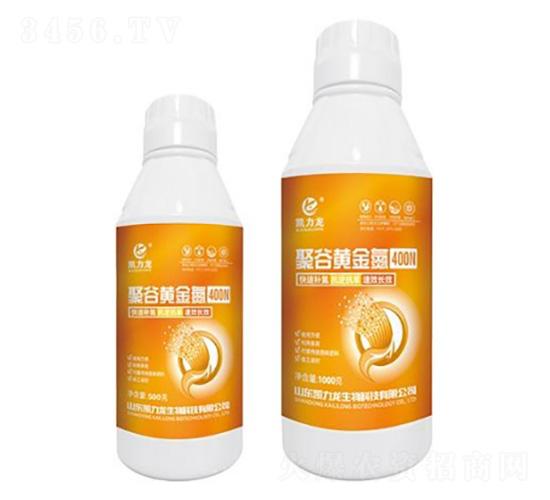 �۹��S��-�P����