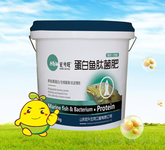 �����~�ľ���-��������