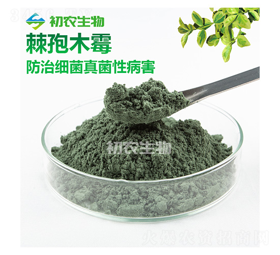 ����ľù��-���r(n��ng)����