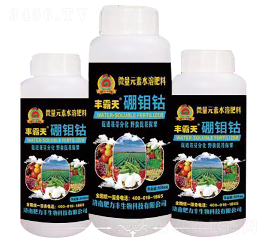 ���f�-�S����-�����S