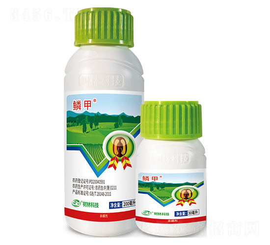 ������-�[��-��������